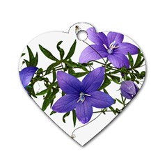 Flowers Blue Campanula Arrangement Dog Tag Heart (two Sides)