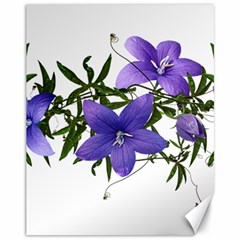 Flowers Blue Campanula Arrangement Canvas 11  X 14  by Pakrebo