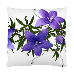 Flowers Blue Campanula Arrangement Standard Cushion Case (one Side) by Pakrebo