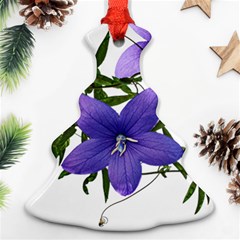 Flowers Blue Campanula Arrangement Ornament (christmas Tree)  by Pakrebo