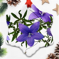 Flowers Blue Campanula Arrangement Snowflake Ornament (two Sides)