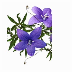 Flowers Blue Campanula Arrangement Small Garden Flag (two Sides) by Pakrebo