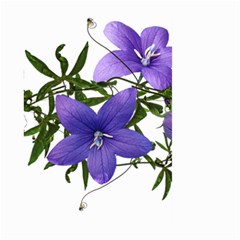 Flowers Blue Campanula Arrangement Large Garden Flag (two Sides) by Pakrebo