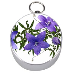 Flowers Blue Campanula Arrangement Silver Compasses by Pakrebo