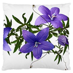 Flowers Blue Campanula Arrangement Large Flano Cushion Case (two Sides) by Pakrebo