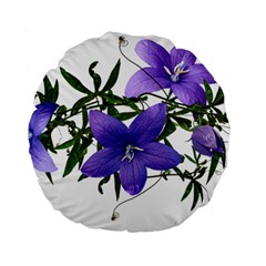 Flowers Blue Campanula Arrangement Standard 15  Premium Flano Round Cushions by Pakrebo