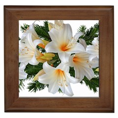 Lilies Belladonna White Flowers Framed Tile