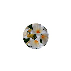 Lilies Belladonna White Flowers 1  Mini Buttons