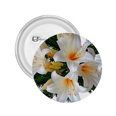 Lilies Belladonna White Flowers 2 25  Buttons