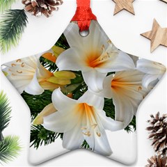 Lilies Belladonna White Flowers Ornament (star) by Pakrebo