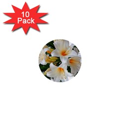 Lilies Belladonna White Flowers 1  Mini Buttons (10 Pack) 