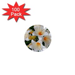 Lilies Belladonna White Flowers 1  Mini Magnets (100 Pack) 