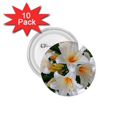 Lilies Belladonna White Flowers 1 75  Buttons (10 Pack)