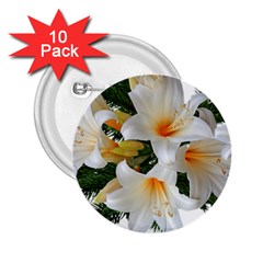 Lilies Belladonna White Flowers 2 25  Buttons (10 Pack) 