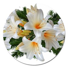 Lilies Belladonna White Flowers Magnet 5  (round) by Pakrebo