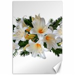 Lilies Belladonna White Flowers Canvas 12  x 18  11.88 x17.36  Canvas - 1