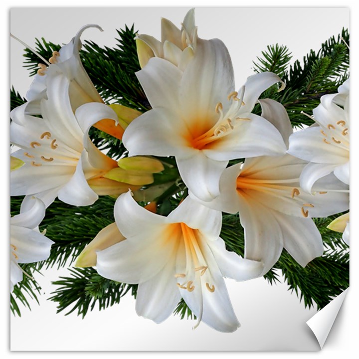 Lilies Belladonna White Flowers Canvas 20  x 20 