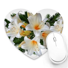 Lilies Belladonna White Flowers Heart Mousepads