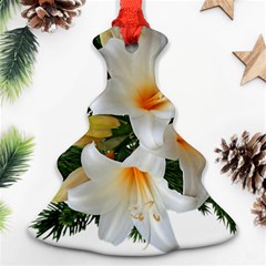 Lilies Belladonna White Flowers Christmas Tree Ornament (two Sides) by Pakrebo