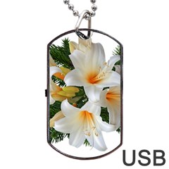 Lilies Belladonna White Flowers Dog Tag Usb Flash (two Sides) by Pakrebo