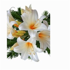 Lilies Belladonna White Flowers Large Garden Flag (two Sides)