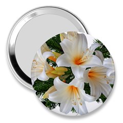 Lilies Belladonna White Flowers 3  Handbag Mirrors