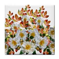 Flowers Roses Leaves Autumn Tile Coaster