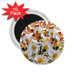 Flowers Roses Leaves Autumn 2 25  Magnets (10 Pack)  by Pakrebo