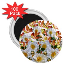 Flowers Roses Leaves Autumn 2 25  Magnets (100 Pack) 