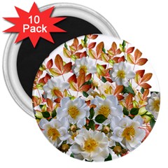 Flowers Roses Leaves Autumn 3  Magnets (10 Pack) 