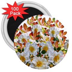 Flowers Roses Leaves Autumn 3  Magnets (100 Pack)