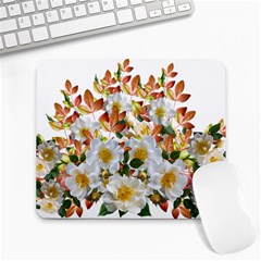 Flowers Roses Leaves Autumn Large Mousepads