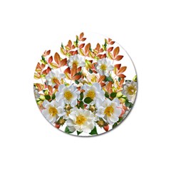 Flowers Roses Leaves Autumn Magnet 3  (round)