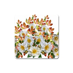 Flowers Roses Leaves Autumn Square Magnet