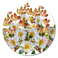 Flowers Roses Leaves Autumn Magnet 5  (round)