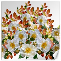 Flowers Roses Leaves Autumn Canvas 12  X 12 