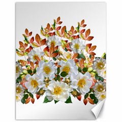 Flowers Roses Leaves Autumn Canvas 18  X 24 