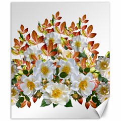 Flowers Roses Leaves Autumn Canvas 20  X 24  by Pakrebo