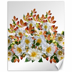 Flowers Roses Leaves Autumn Canvas 11  X 14 