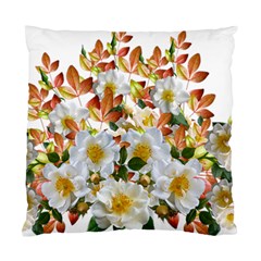 Flowers Roses Leaves Autumn Standard Cushion Case (one Side) by Pakrebo