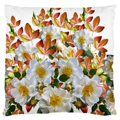 Flowers Roses Leaves Autumn Large Cushion Case (one Side) by Pakrebo