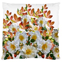 Flowers Roses Leaves Autumn Standard Flano Cushion Case (one Side) by Pakrebo