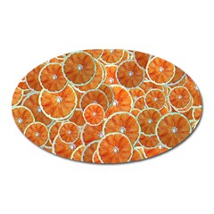 Oranges Background Oval Magnet by HermanTelo