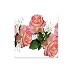 Roses Pink Leaves Flowers Perfume Square Magnet