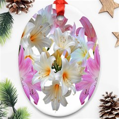 Lilies Belladonna Easter Lilies Ornament (oval) by Simbadda