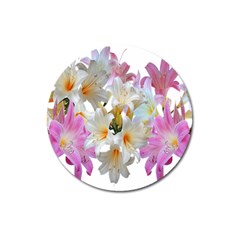 Lilies Belladonna Easter Lilies Magnet 3  (round) by Simbadda