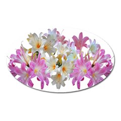 Lilies Belladonna Easter Lilies Oval Magnet by Simbadda