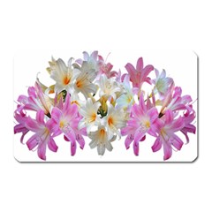 Lilies Belladonna Easter Lilies Magnet (rectangular) by Simbadda