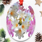 Lilies Belladonna Easter Lilies Oval Ornament (Two Sides) Back