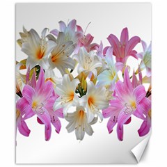 Lilies Belladonna Easter Lilies Canvas 8  X 10  by Simbadda